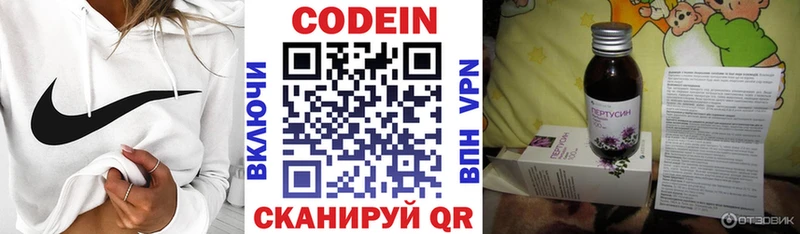 блэк спрут вход  Карачаевск  Codein Purple Drank 
