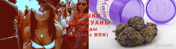 амф Алексин