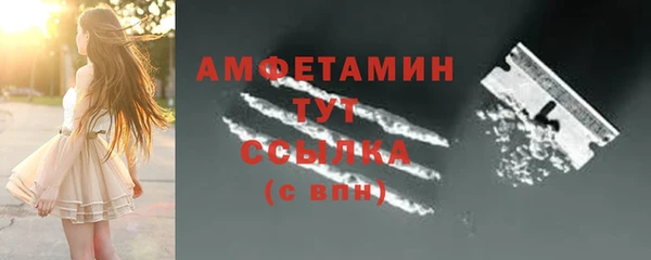 амф Алексин
