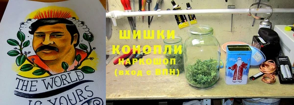 PSILOCYBIN Алексеевка