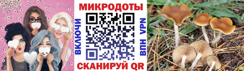 OMG зеркало  Карачаевск  Галлюциногенные грибы Psilocybine cubensis  цена наркотик 